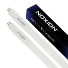Noxion Tubi LED (T5) HO Avant Extreme | Mains